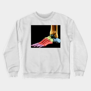 Human foot anatomy, illustration (F011/5689) Crewneck Sweatshirt